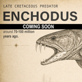 Enchodus Tooth Excavation Kit & Display Frame