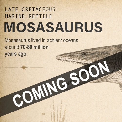 A vintage-style poster or graphic about a mosasaurus, with text reading 'LATE CRETACEOUS MARINE REPTILE MOSASAUROS' and 'Mosasaurus lived in achiient oceans around 70-80 million years ago.' A large diagonal banner across the lower portion says 'COMING SOON.